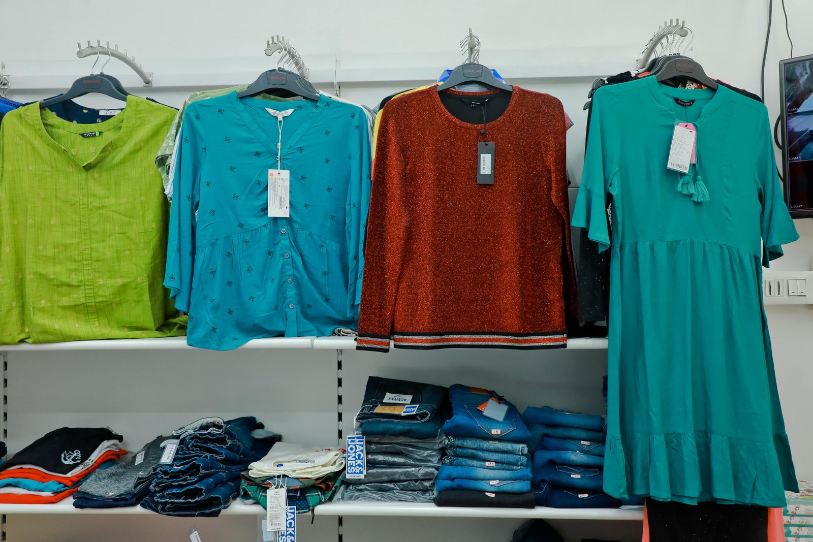OUR COLLECTIONS